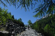 18 IL sentiero-mulattiera per Alpe Ventina ed i rifugi